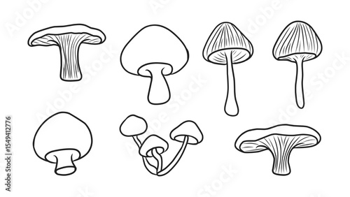 Collection of Various Hand-Drawn Mushroom Illustrations in Outline Style for Nature Designs