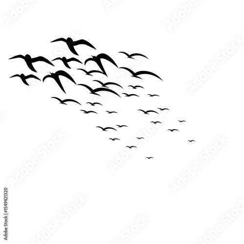 Flying Bird Silhouette Vector Set for Tattoos and Nature-Inspired Art