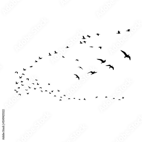 Flying Bird Silhouette Vector Set for Tattoos and Nature-Inspired Art