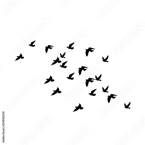 Flying Bird Silhouette Vector Set for Tattoos and Nature-Inspired Art