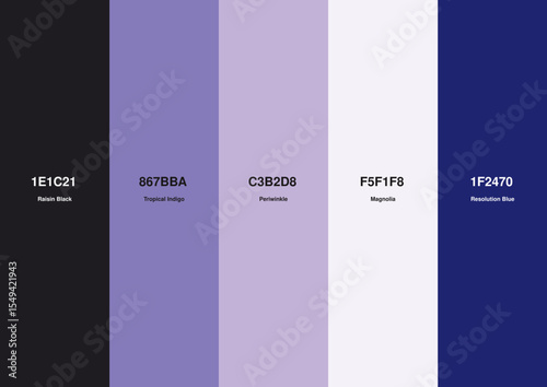 Cool Tones and Deep Neutrals Color Palette