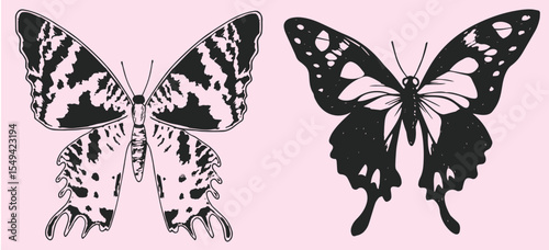 Hand drawn vintage butterfly illustration set