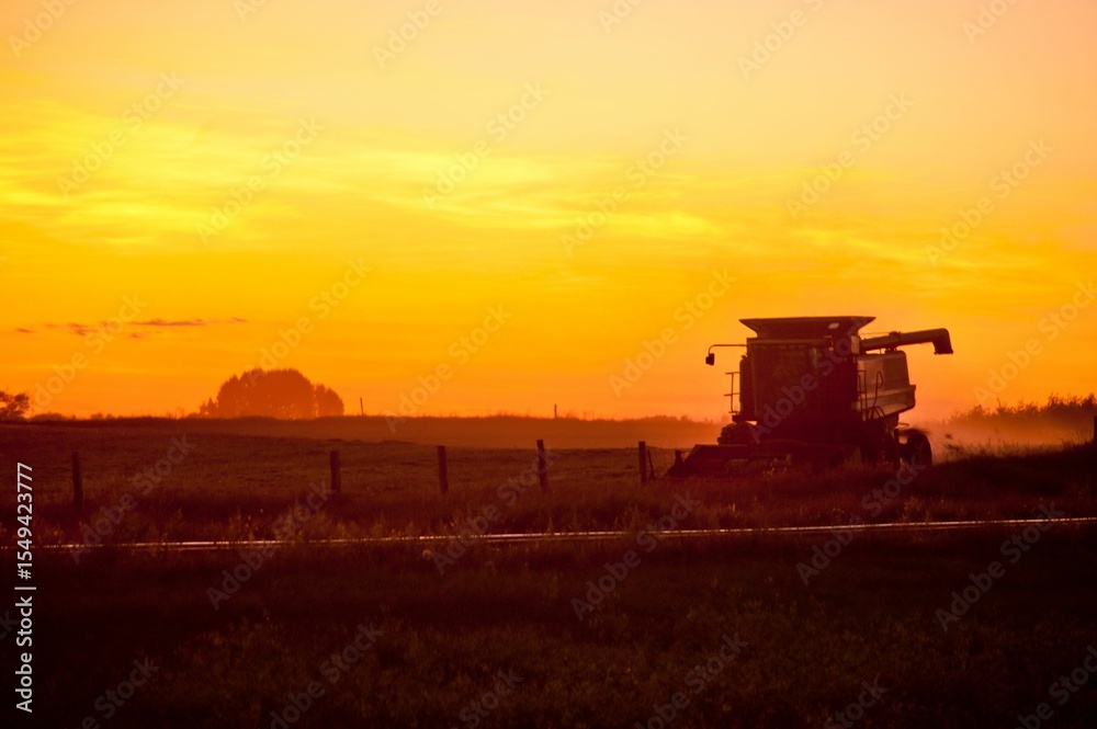 Fototapeta premium Combine Harvester at Sunset