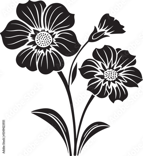 botanical flowers vector graphics art design