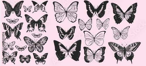 Hand drawn vintage butterfly illustration set