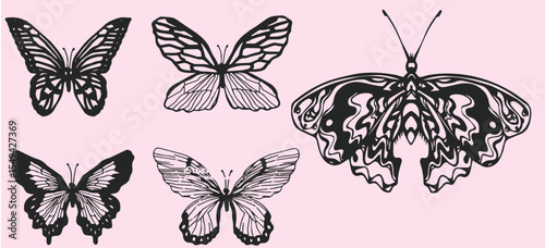 Hand drawn vintage butterfly illustration set