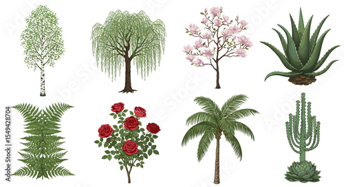 Illustration featuring a variety of botanical elements including trees flowers and succulents in a grid layout