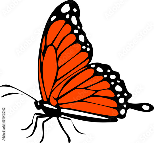 butterfly isolated on white background.The butterfly spreads its wings and is ready to fly.Set of four butterflies flying.