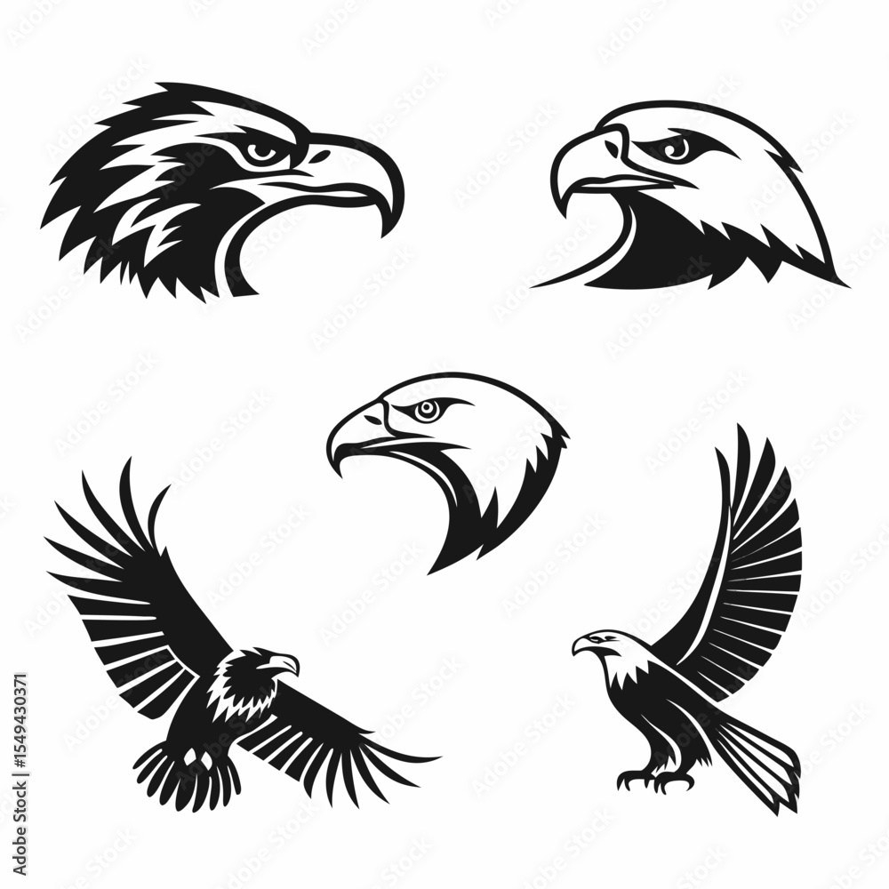 Obraz premium eagle