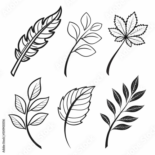 set of feathers
