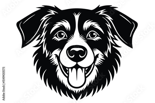 Monochrome border collie displays a cheerful, playful demeanor with tongue showing