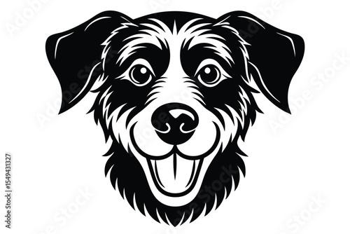 Isolated black and white shows a friendly Border Collie head looking forward