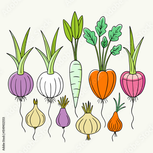 Cartoon Vegetable Illustration Onions Carrots and Other Root Vegetables on White Background