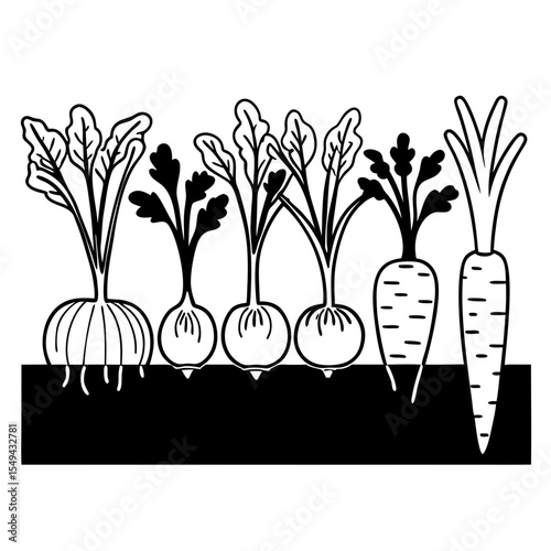 Black and white illustration of root vegetables growing in the garden