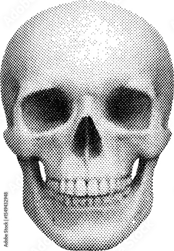 Eternal Portrait: A detailed, grayscale depiction of a human skull, meticulously rendered with crosshatching to bring forth a captivating contrast.