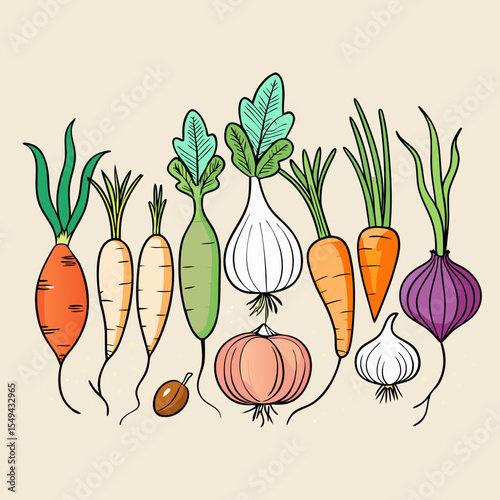 Hand Drawn Vegetable Illustration with Carrots Onions Garlic and Radishes