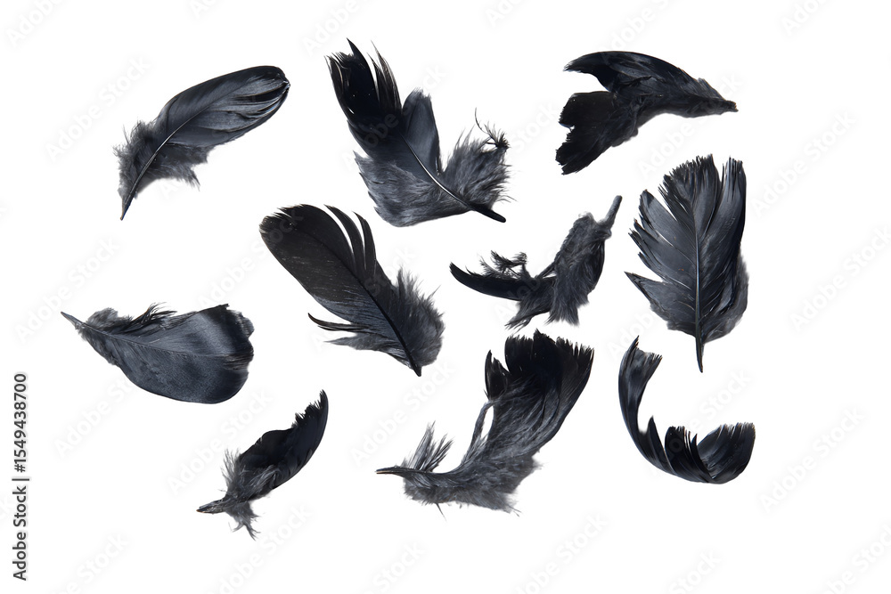 Fototapeta premium Dark Raven Feathers Floating, Isolated Black Background, Abstract Art