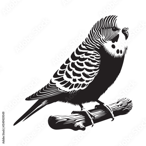 bird on a branch