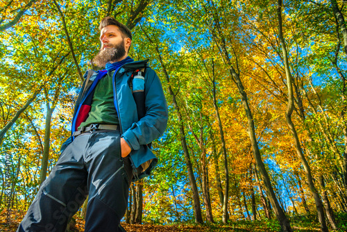 Bearded male hiker walking in sunny autumn forest with backpack. Low-angle view, golden leaves on ground, long shadows, fall adventure