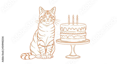 Isolated Cat and Birthday Cake