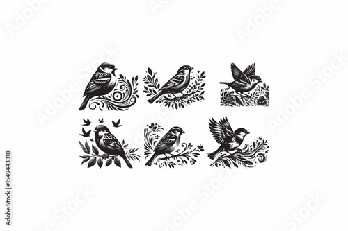 House Sparrow bird vector silhouettes black and white image made by adobe illustrator .eps