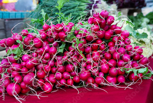 Fresh raw radishes at a local farmer's market on a red table cloth; copy space