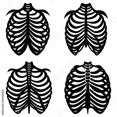 Four anatomical rib cage illustrations in black and white showing bone structure and human anatomy details