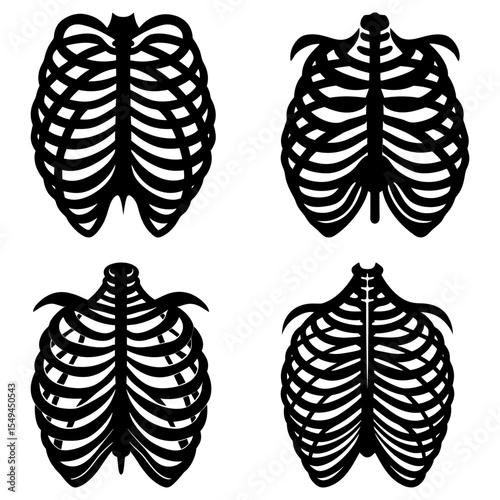 Four rib cage illustrations with varying shapes and sizes in a black and white anatomical study image