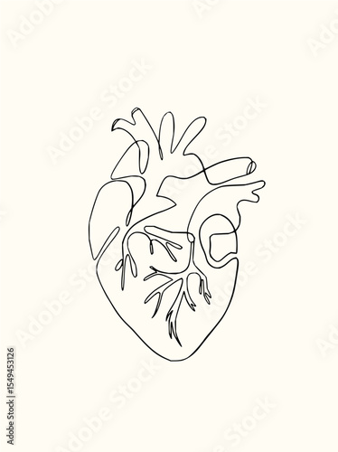 Minimilist anatomical heart illustration rendered in a single continuous line on a plain white background showing arteries vector