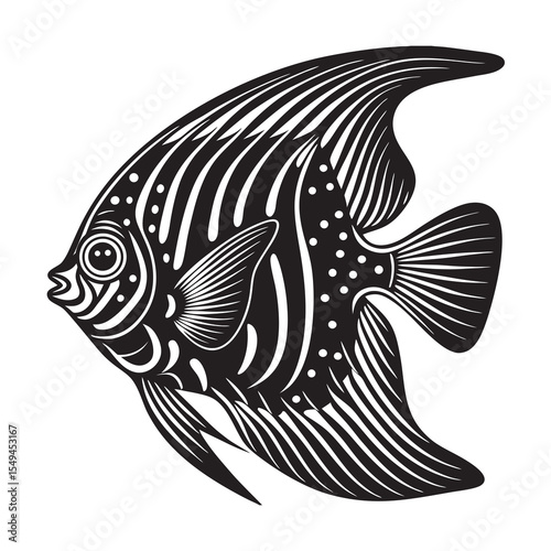silhouette of angelfish  fish  on the white background