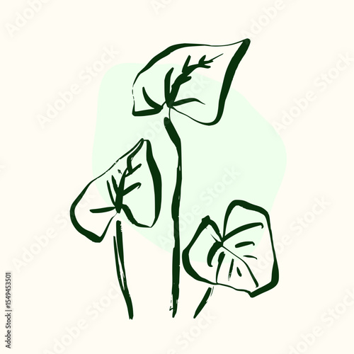 Minimilist three stylized taro plants with dark green outlines against a light green and cream background space vector