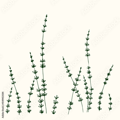 Minimilist illustration of several green stemmed plants with small leaves against a white background in a simple style vector