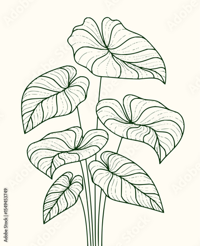 Minimilist illustration of a cluster of taro plants with detailed leaf venation on a cream colored background vector