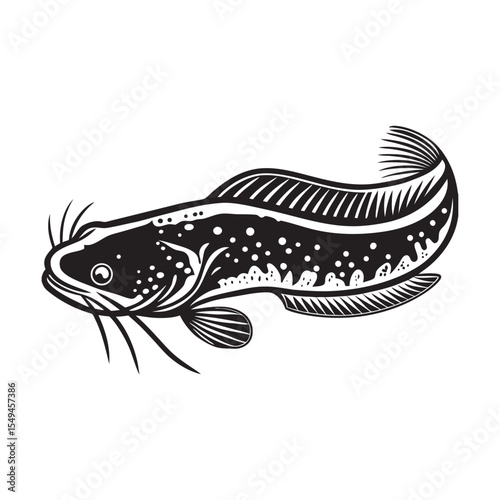  silhouette of mudfish fish  on the white background 