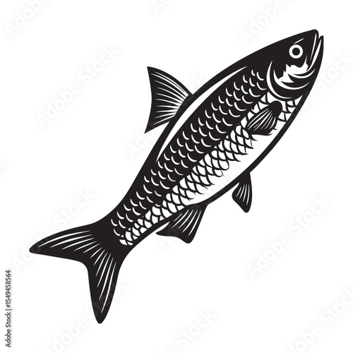  silhouette of sardine fish  on the white background
