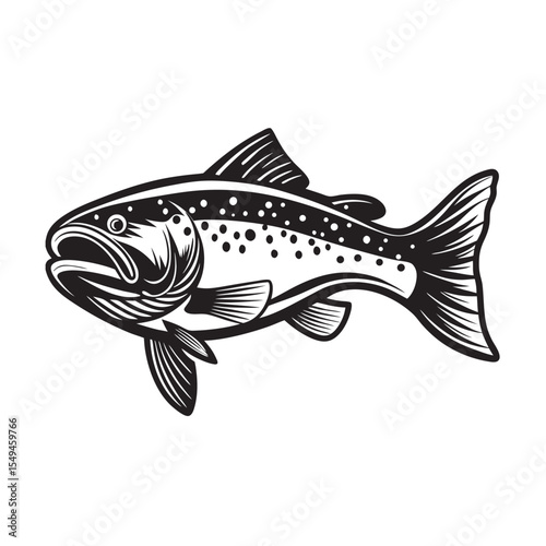  silhouette of trout fish on the white background