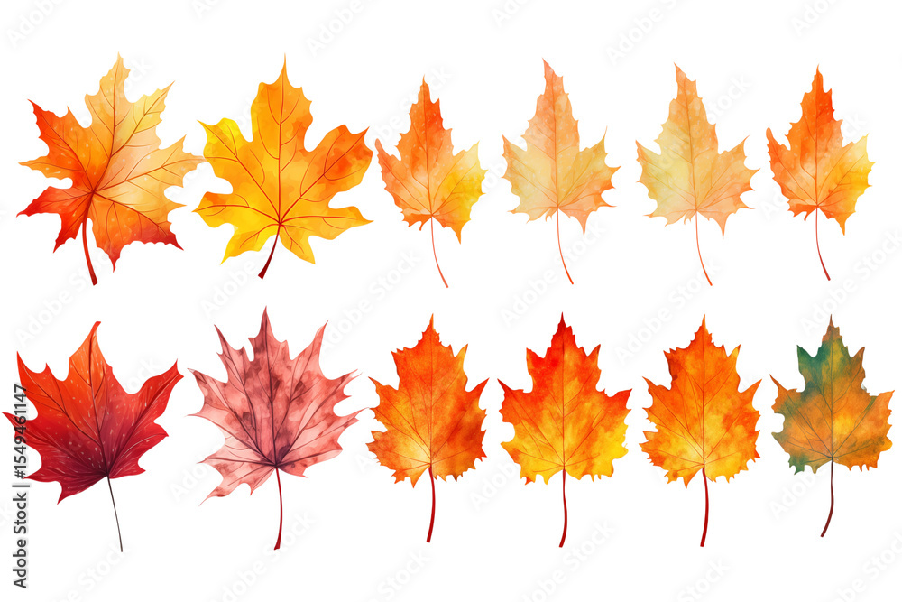 Fototapeta premium Vibrant Autumn Maple Leaves: Watercolor Collection for Design transparent background png