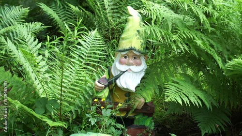 Fern shrubs with green leaves fronds around garden figurine vintage gnome as landscaping concept in summer