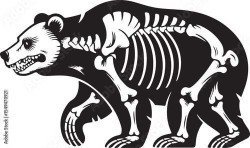 Black and white grizzly bear skeleton illustration