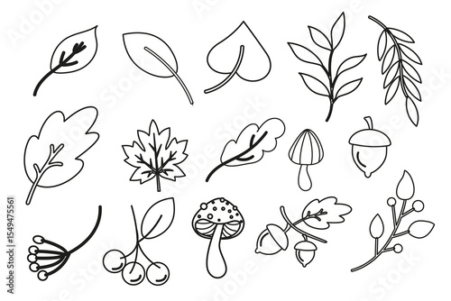 Autumn outline forest elements collection. Forest clipart