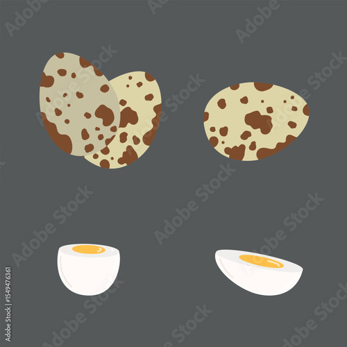 Spotted quail eggs design with a boiled ready to eat eggs on grey background. Hand drawn vector illustration in flat style. Farm concept, breakfast design, cooking ingredient