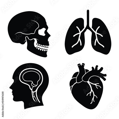 Black Silhouette Icons Human Anatomy Skull Brain Heart Lungs Medical Healthcare vector