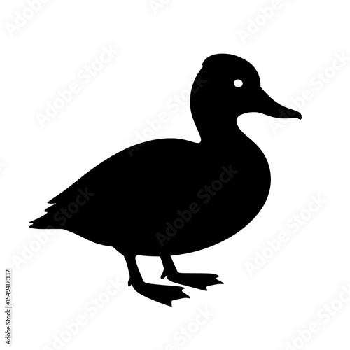 Silhouette of a Lesser Scaup Duck in Crisp Contrast