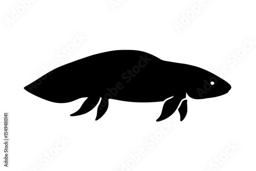 Silhouette of Lungfish with Distinctive Fins in Minimalist Style