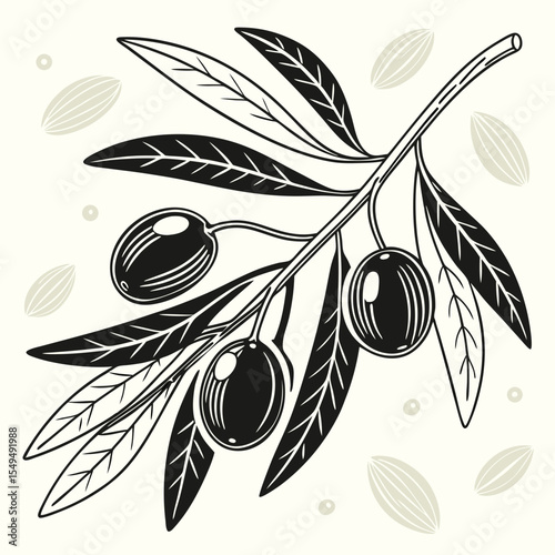 Vintage Olive Branch Illustration