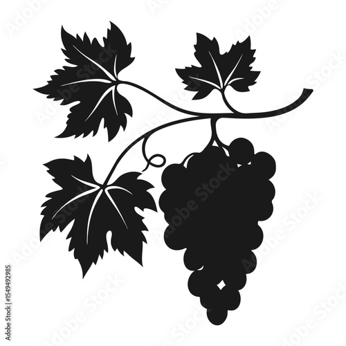 Bunch of grapes on branch with leaves, dark silhouette of grapes on white background.