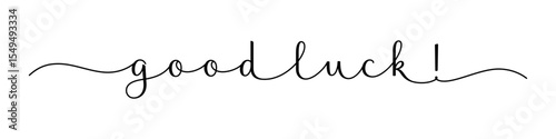 GOOD LUCK! black vector brush calligraphy banner with swashes