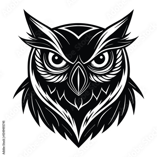 owl on white background