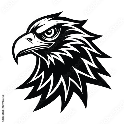 eagle head vector illustration