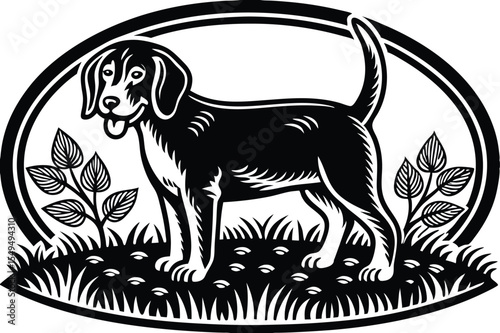 Intricate black line art showcases a standing Norfolk Terrier against a clean white backdrop